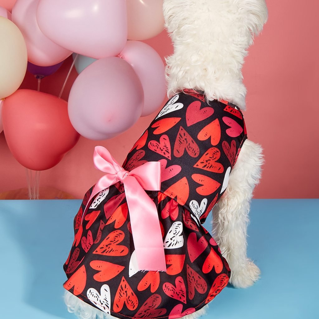 Pet Dog Cat Valentine’s Day Love Full Printed Printed Dress