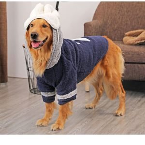 Large dog pet autumn winter coat