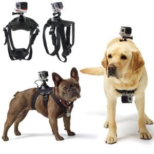 Hero Dog Strap Belt Harness