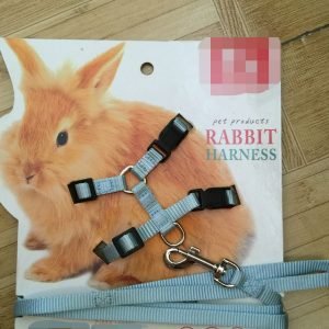 Towing rope for small pets