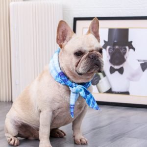 Pet Fashion Cooling Cat Ice Scarf