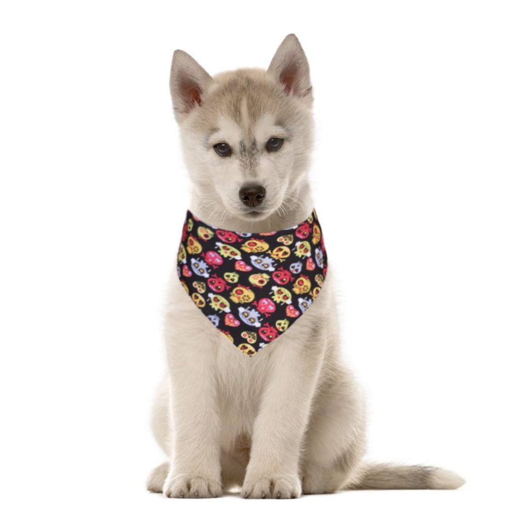 Halloween Pet Triangle Scarf Ghost Festival Lace Double Layer Can Be Customized