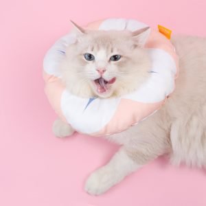 Double Sided Reversible Cat And Dog Neck Collar