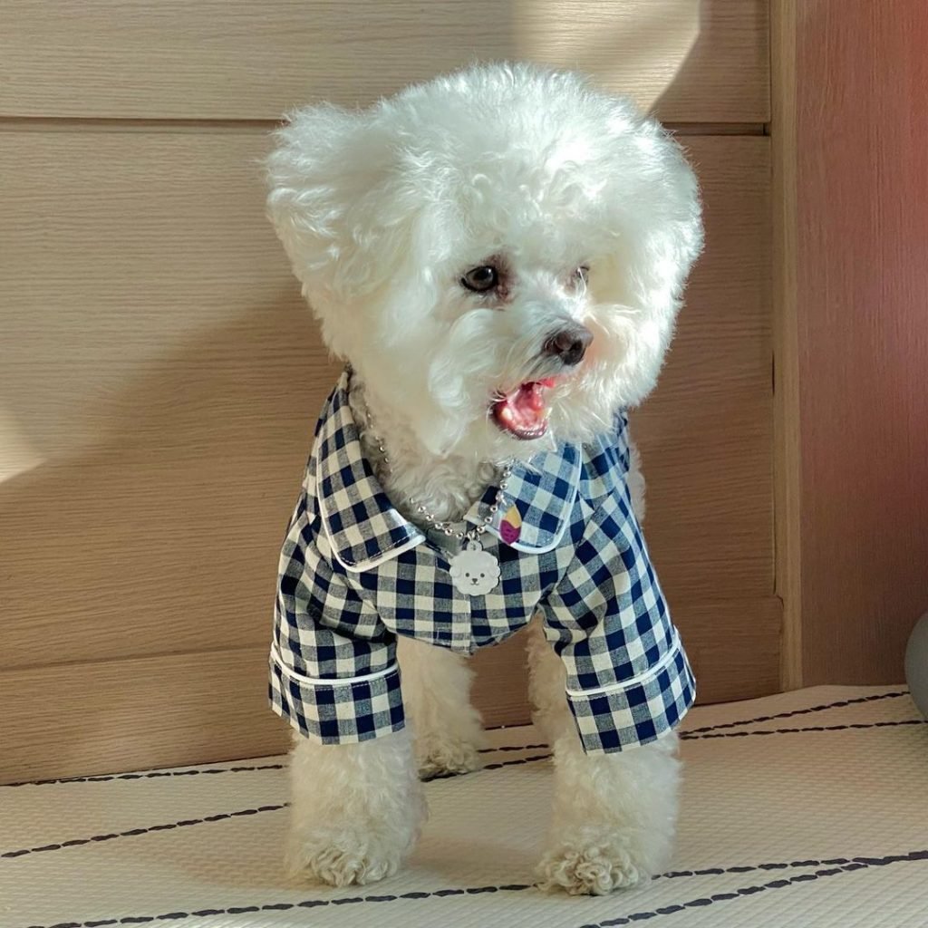 Korea Plaid Khaki Blue Pocket Pajamas For Dogs