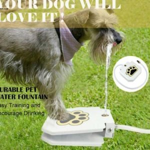 Household Pet Intelligent Automatic Water Dispenser