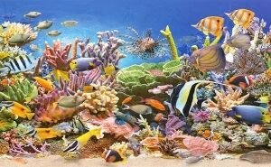 Size: 20x40cm, Style: No frame - The seabed | Diamond embroidery