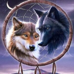 Color: C, Size: 20X20 - Beauty home diy diamond embroidery set wolf full square diamond drill picture 5d image stones Wall decoration animal AA944