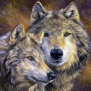 Color: D, Size: 40X40 - Beauty home diy diamond embroidery set wolf full square diamond drill picture 5d image stones Wall decoration animal AA944