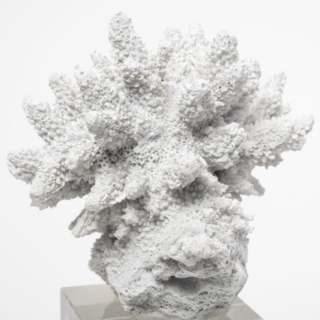 10″ White Contempo Coral And Glass Sculpture