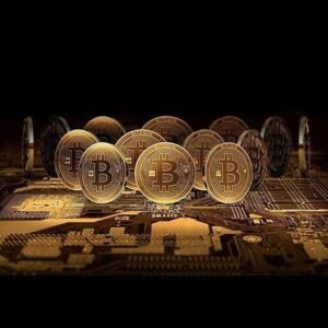 Size: Single,Color: Gold - Bit Coins The Celebratory Coins In Crystal Clear Case