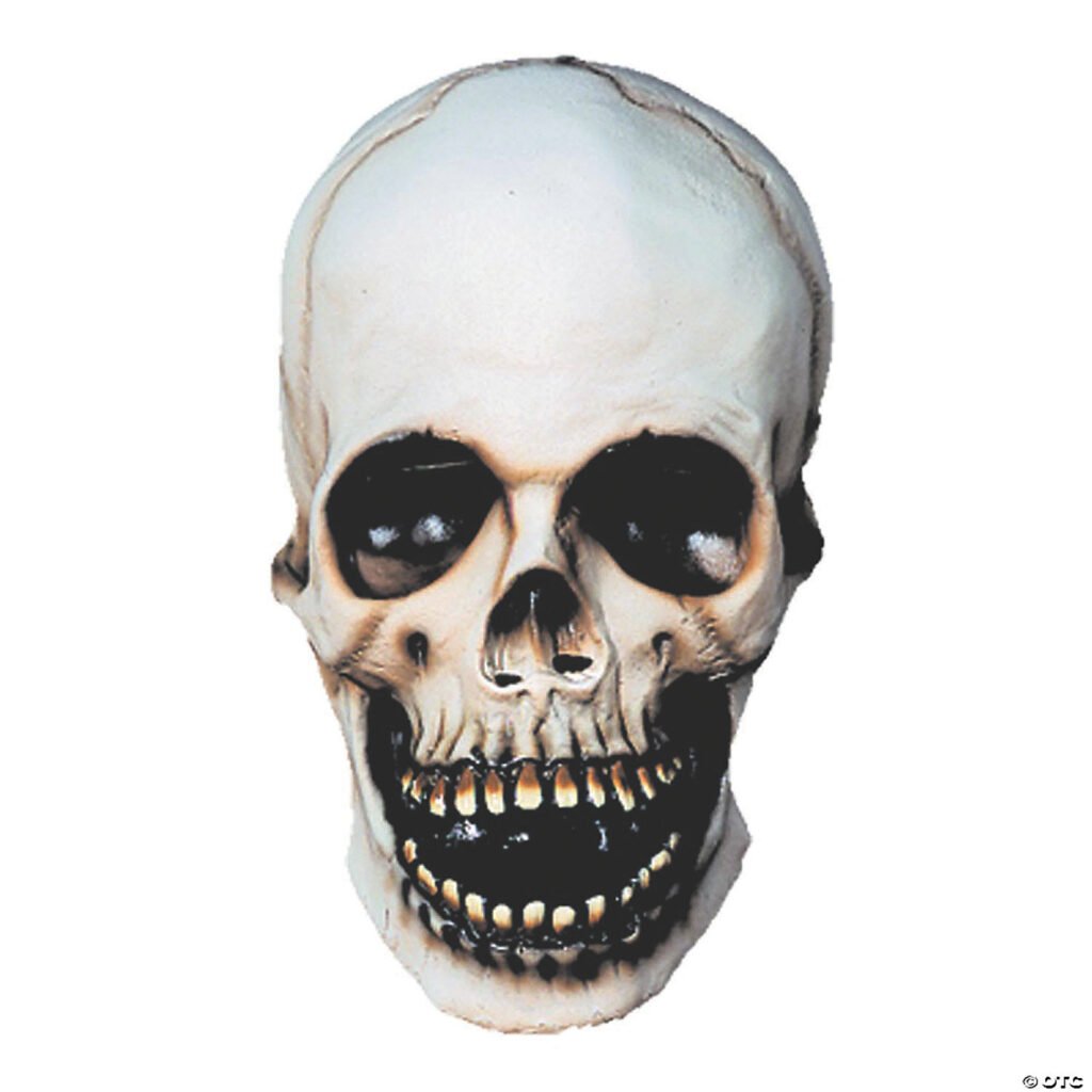 Skull