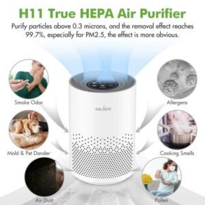 True HEPA Air Purifier Hepa Filter4 SpeedsTimers Ionizer Cold Plasma 360?&deg; Air Inlet 99.9% Removal Rate For Indoor Bedroom 250617